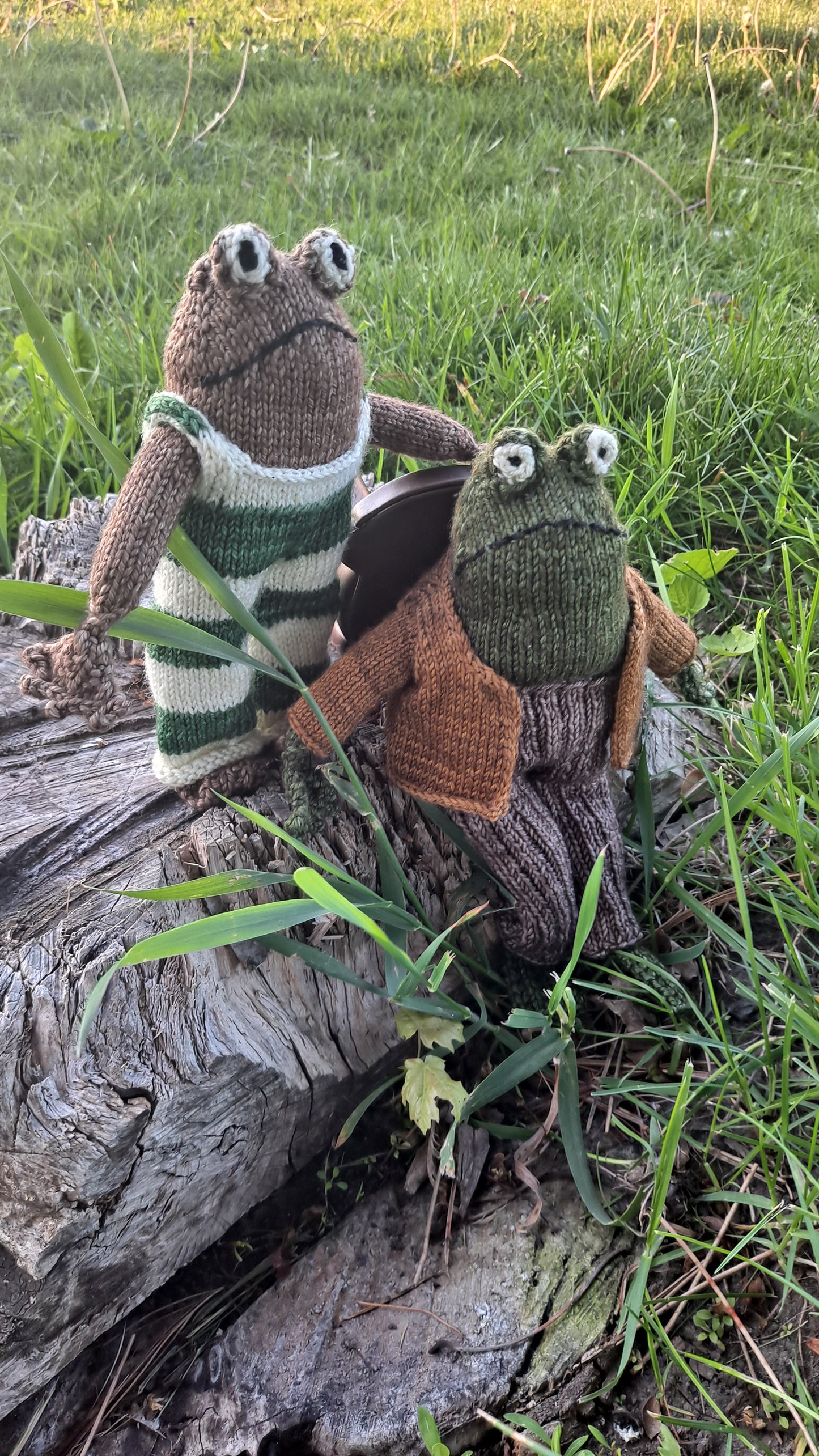 Frog & Toad Kits