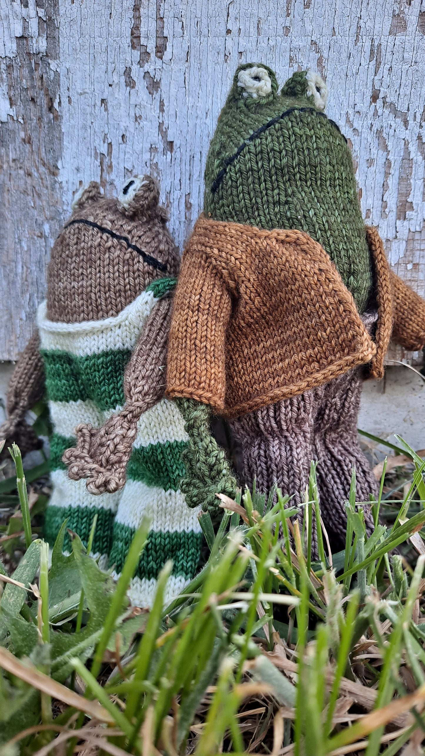 Frog & Toad Kits