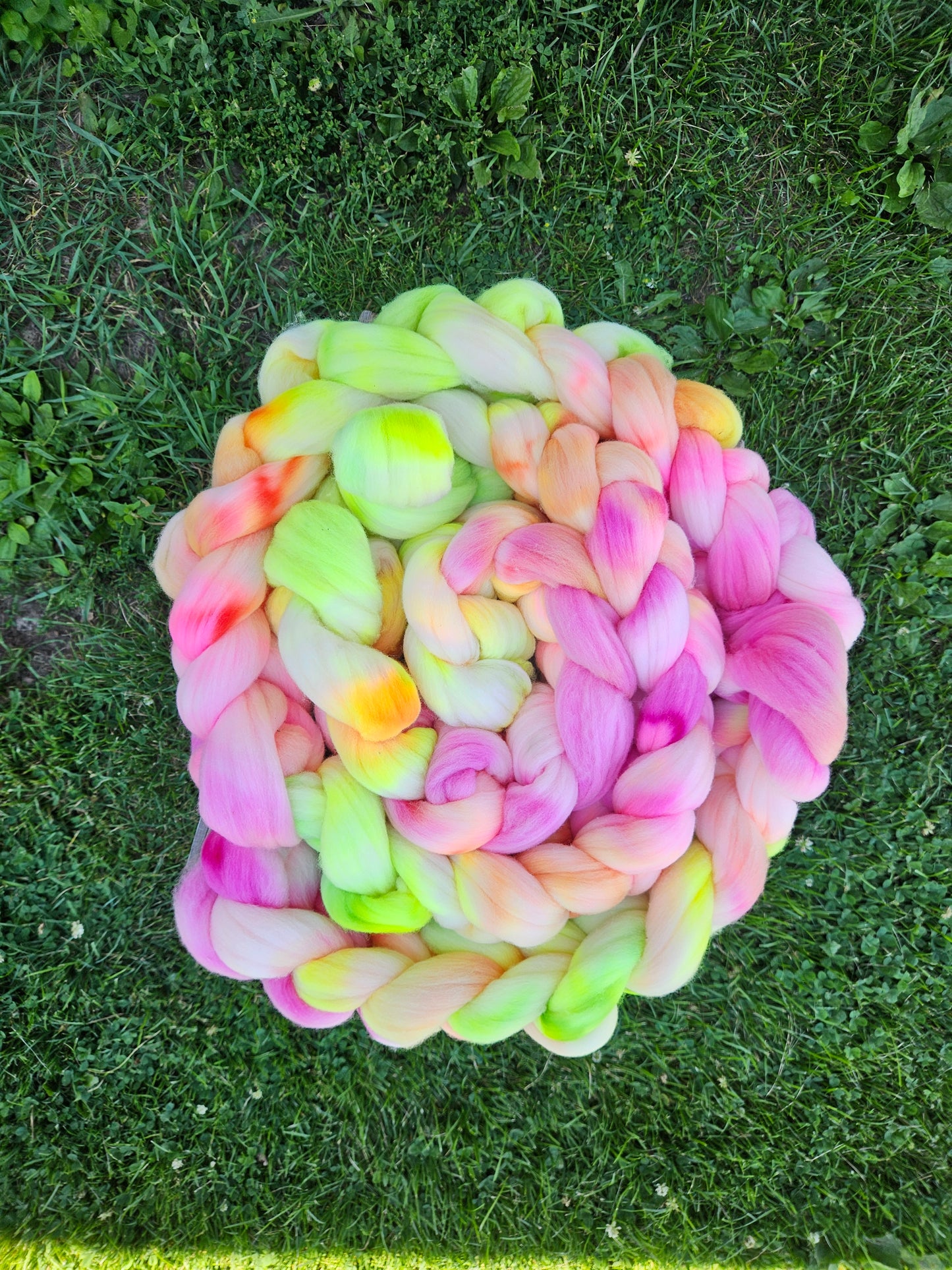 American Targhee- Spinning Fiber