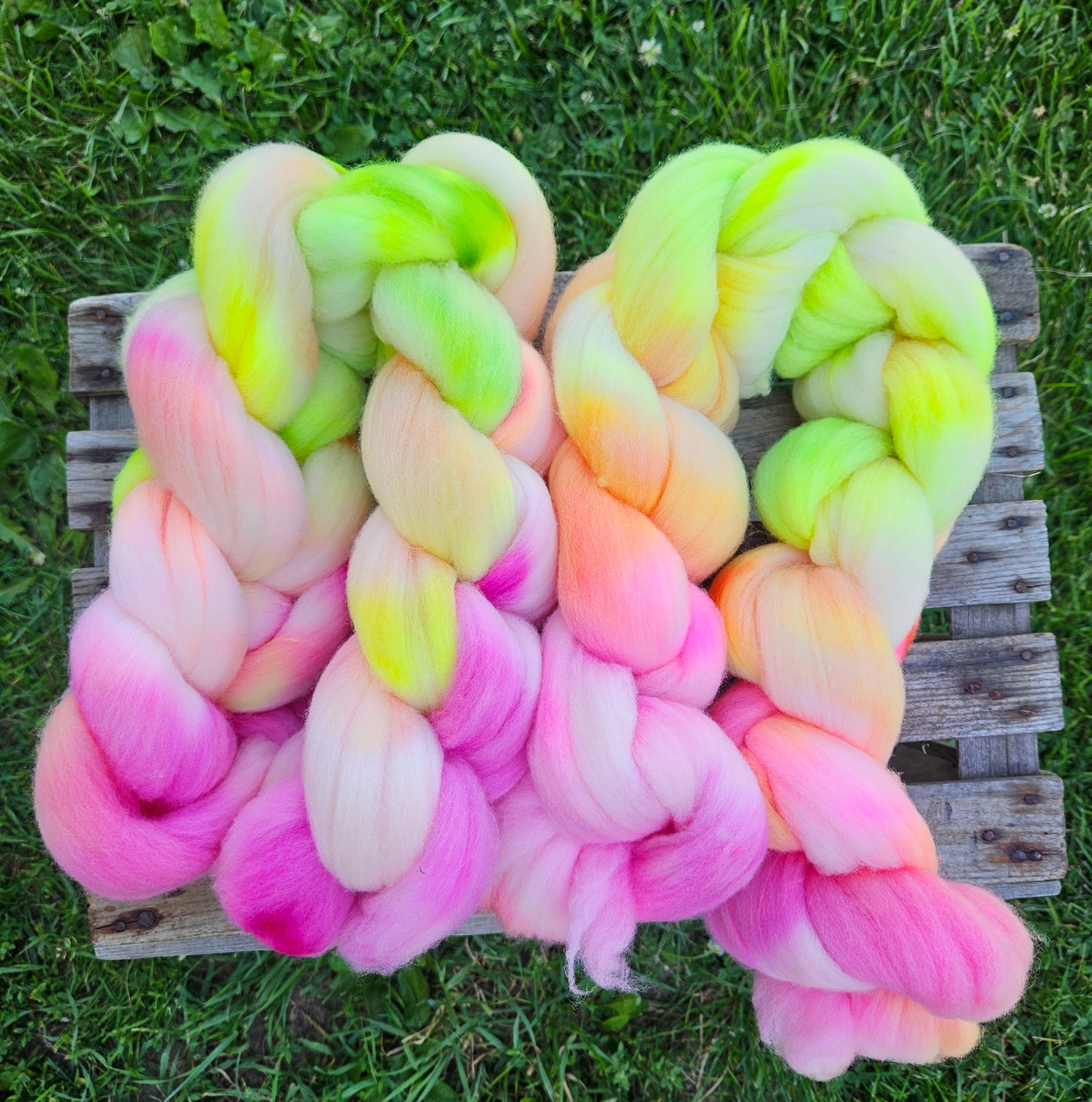 American Targhee- Spinning Fiber